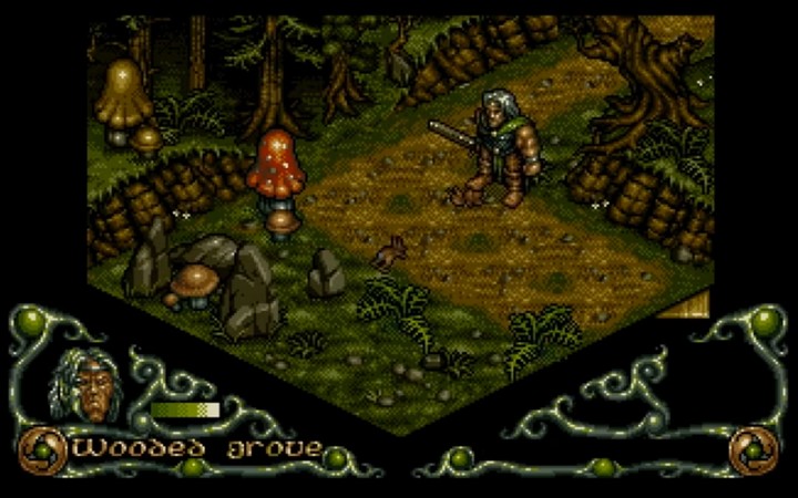 Darkmere: The Nightmare's Begun Forest Shrooms